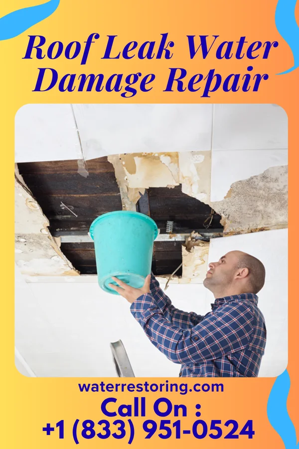 Roof Leak Water Damage Repair in Lakemore, OH