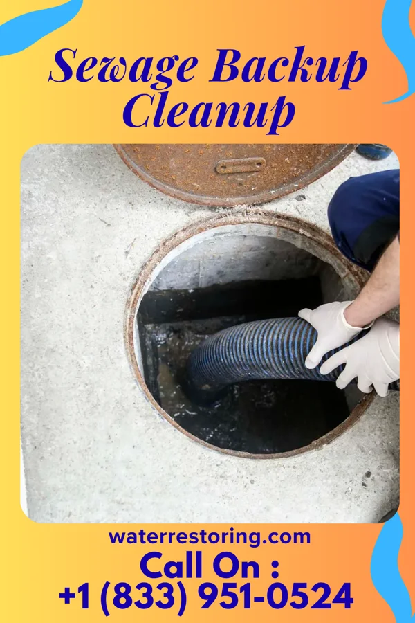 Sewage Backup Cleanup in Lakemore, OH