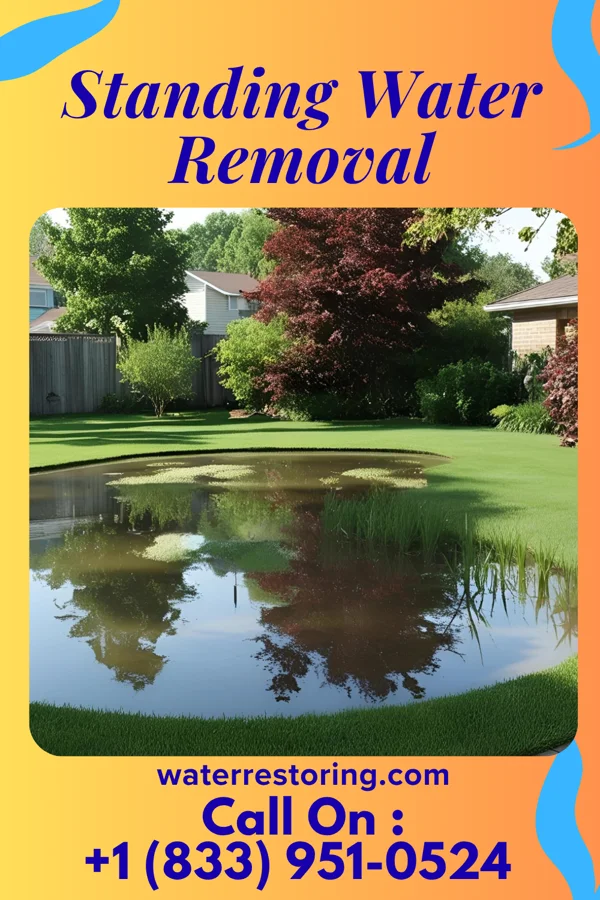 Standing Water Removal in Lakemore, OH